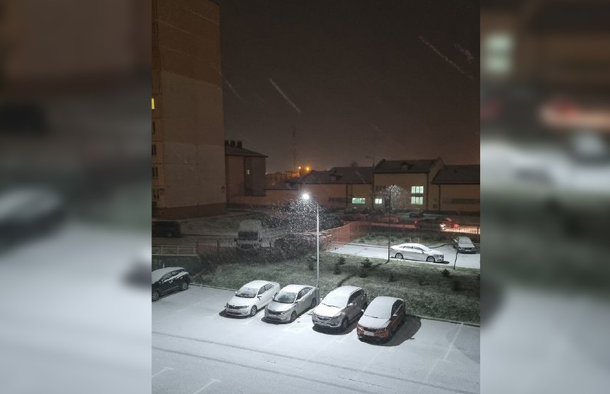 В Минске 17 ноября выпал первый снег