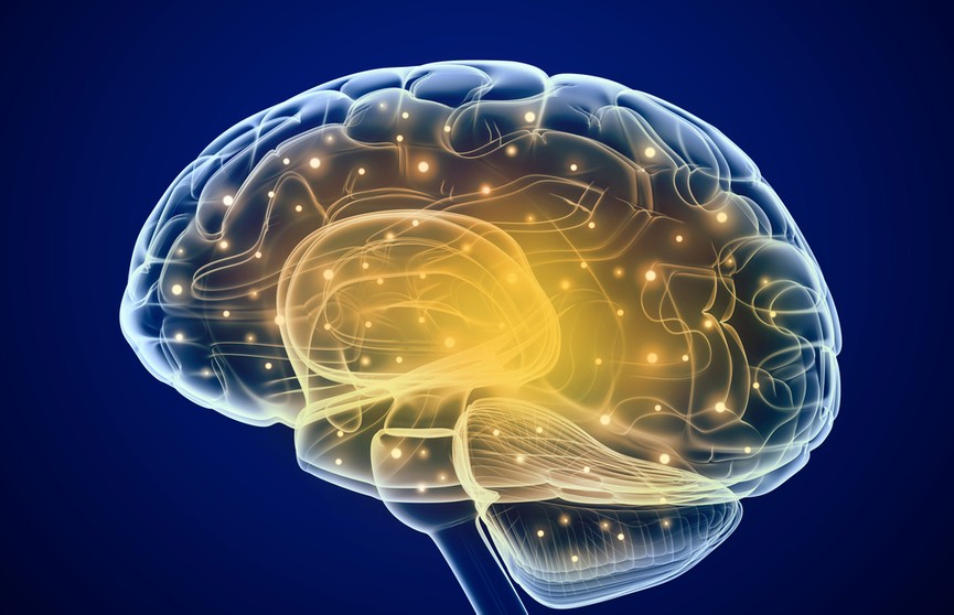 Ученые узнали о способности мозга предсказывать то, что произойдет дальше