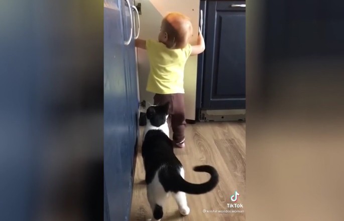 Годовалая девочка и кот грабят кухню. Посмотрите, вы такого еще не видели! (ВИДЕО)