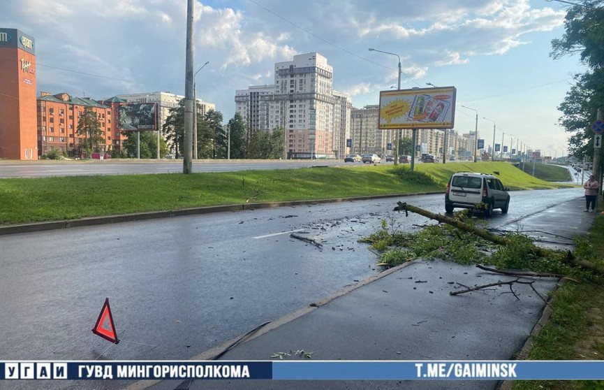 Дерево упало на автомобиль на съезде с проспекта Независимости