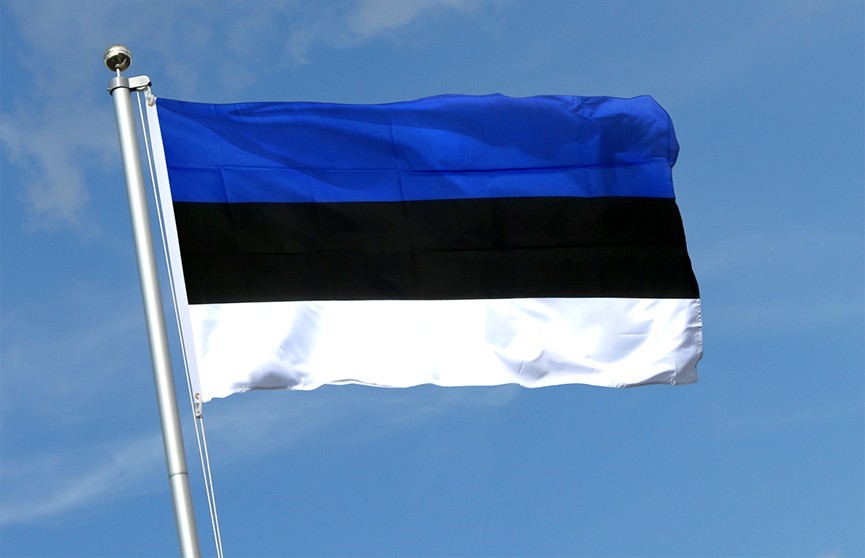 Власти Эстонии не будут высылать украинцев мобилизационного возраста