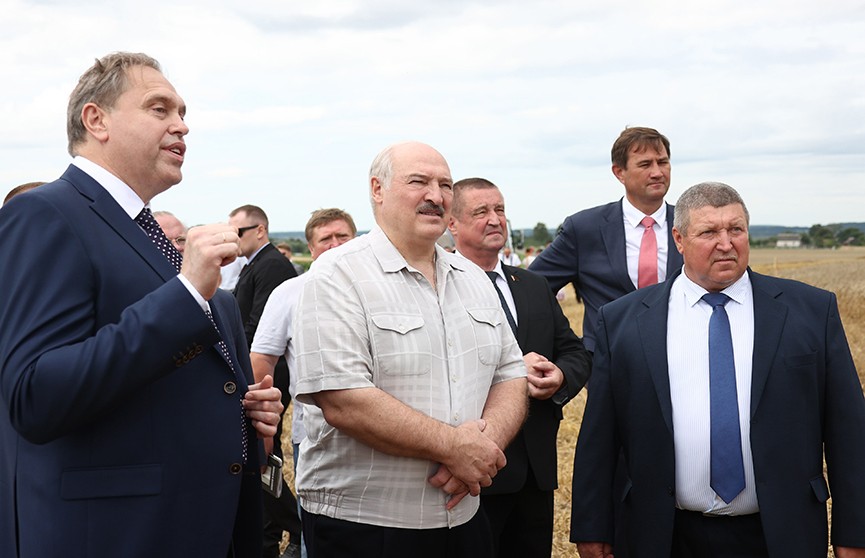 Лукашенко на Гродненщине – главное: урожай, забота о телятах, кто следующий министр сельского хозяйства, ученым приготовиться!