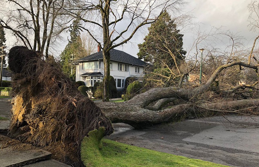 Сильный шторм обставил без света более 300 тысяч домов в Канаде