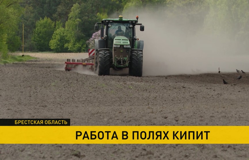 Белорусские аграрии заняты заготовкой кормов и весенними посадками