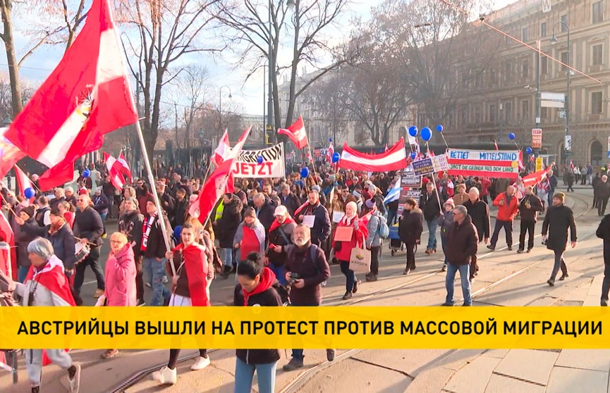 В Австрии сотни людей митингуют против массовой миграции