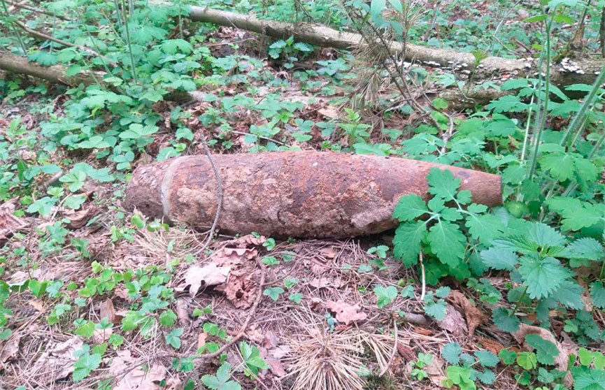 Под Барановичами женщина во время прогулки нашла артиллерийский снаряд