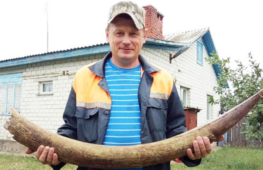 Бивень мамонта нашли в речке в Рогачевском районе