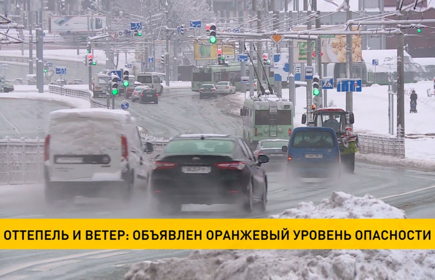 Синоптики объявили оранжевый уровень опасности в Беларуси из-за непогоды