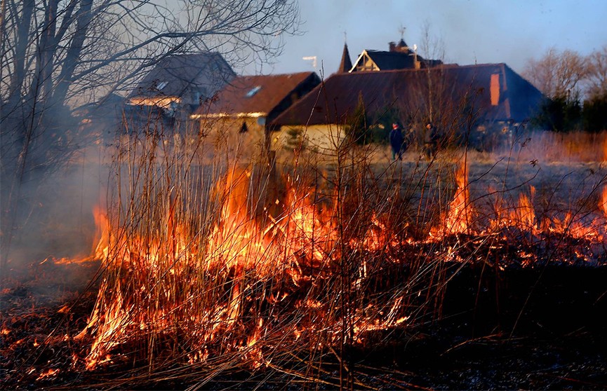 Выжигание сухой травы привело к гибели одного из жителей Гродненщины