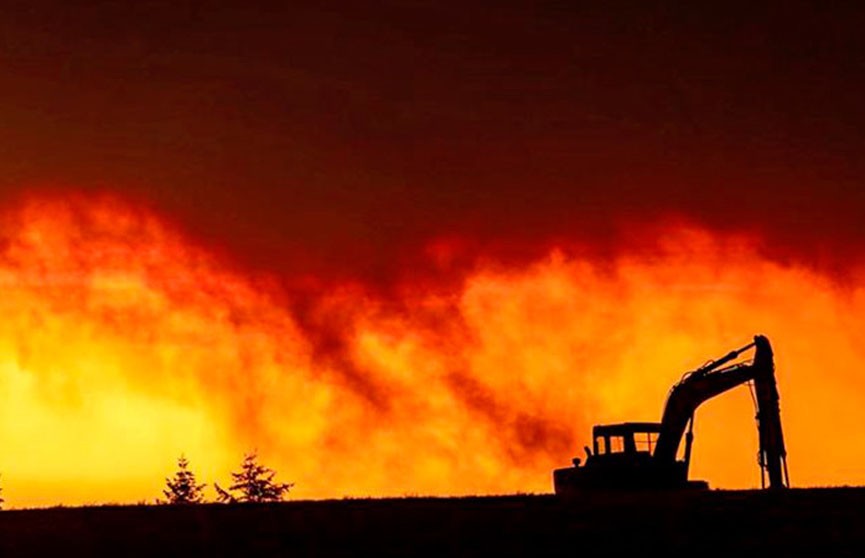 23 человека стали жертвами лесных пожаров в США