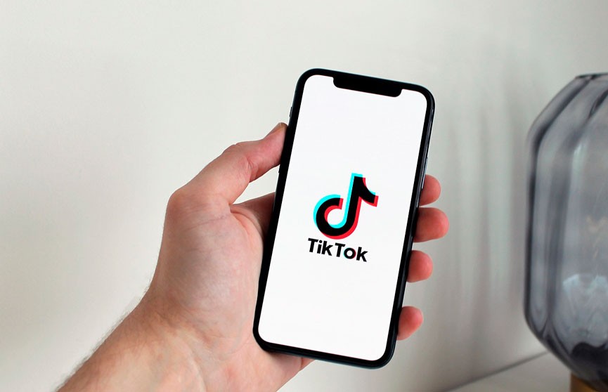 В Албании на год запретят TikTok из-за убийства подростка