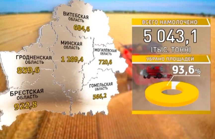Белорусские аграрии намолотили 5 миллионов тонн зерна