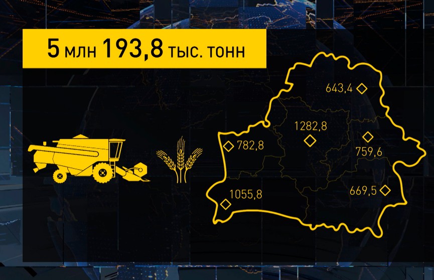 Уборочная-2021: в Беларуси обработано около 80% площадей зерновых и зернобобовых