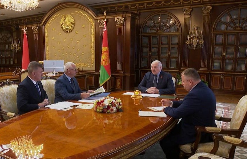 Александр Лукашенко провел совещание по работе лесного хозяйства страны