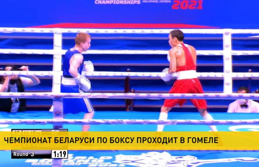 В Гомеле стартует чемпионат Беларуси по боксу