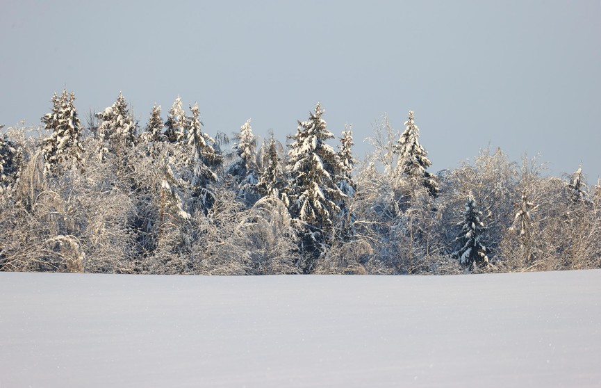 В Барановичском районе посреди поля обнаружили замерзшего мужчину