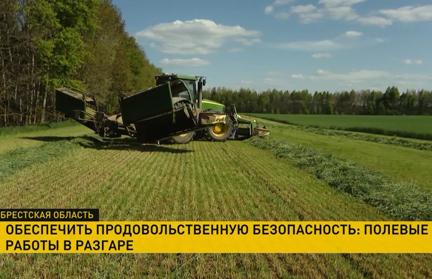 В Брестской области началась заготовка травяных кормов