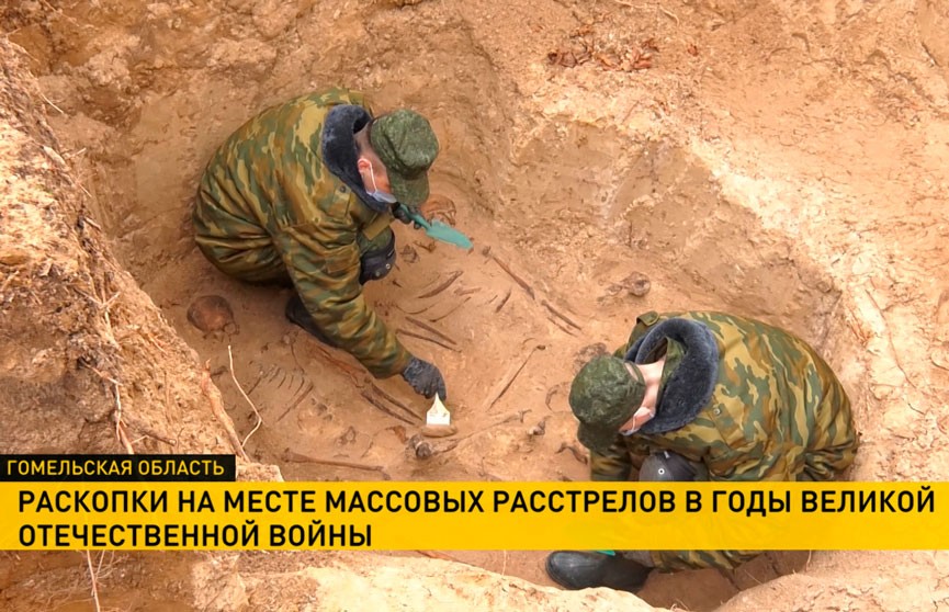 В лесу под Гомелем возобновились раскопки на месте массовых расстрелов в годы Великой Отечественной войны