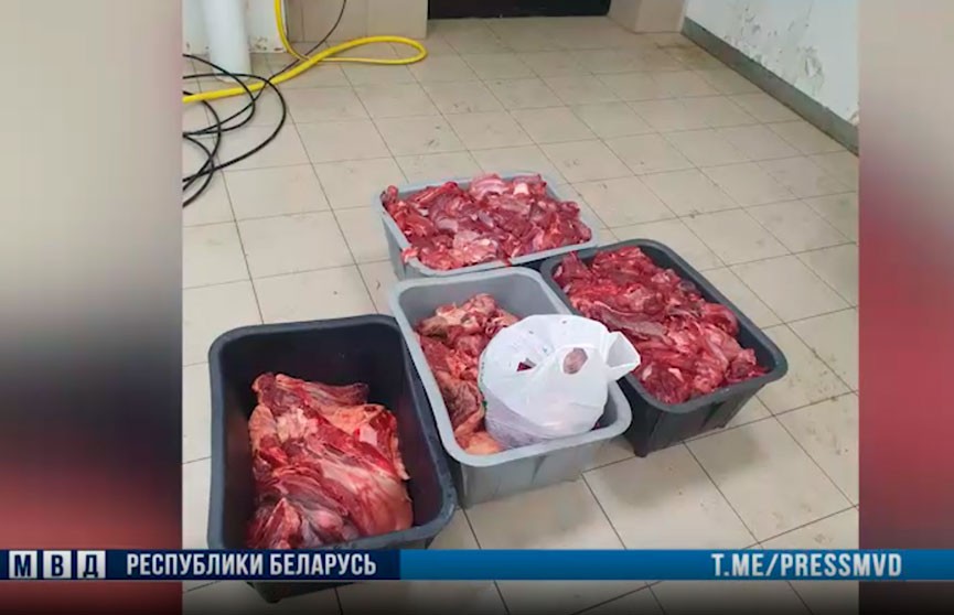 Нелегальный мясной цех ликвидировали в Могилевском районе