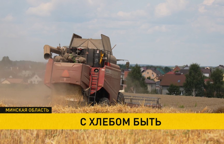 Работа с продбезопасностью страны. Белорусские аграрии взяли курс на пятый миллион тонн зерна