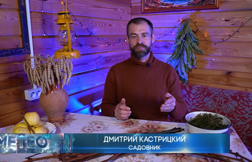 Садовник рассказал о секретах заготовки и хранения черенков