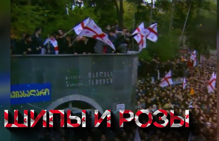 «Революции роз», когда выбрали Саакашвили, – более 20 лет. Что сейчас со страной и самим лидером