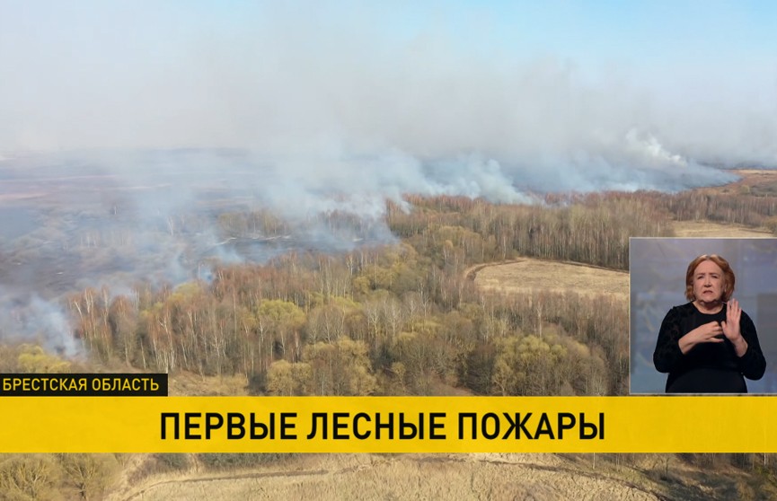 Минлесхоз предупреждает: в Беларуси начали гореть леса