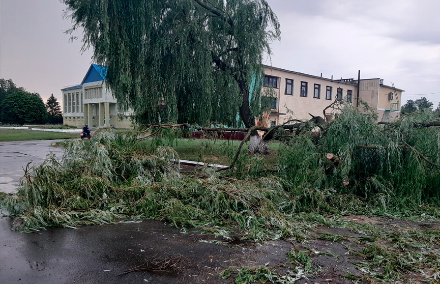 Повалены деревья, сорваны крыши и повреждены авто: сильный ветер обрушился на Беларусь (ФОТО ПОСЛЕДСТВИЙ)