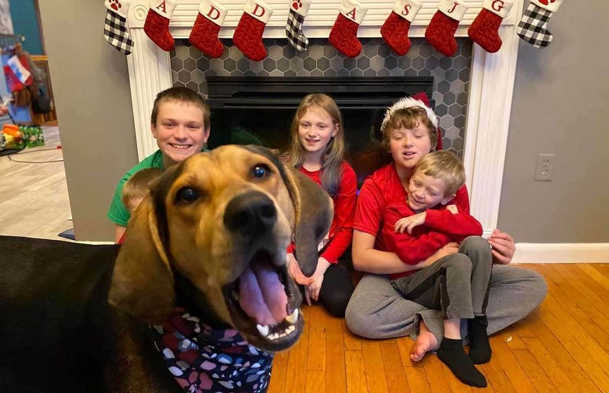 Семья устроила рождественскую фотосессию, но их собака решила «улучшить» снимки