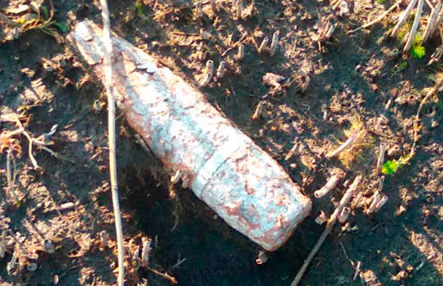 В рыбхозе под Брестом выловили снаряд времён Великой Отечественной войны
