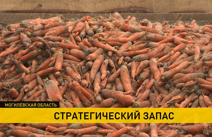 В Беларуси завершается закладка стабфондов плодоовощной продукции