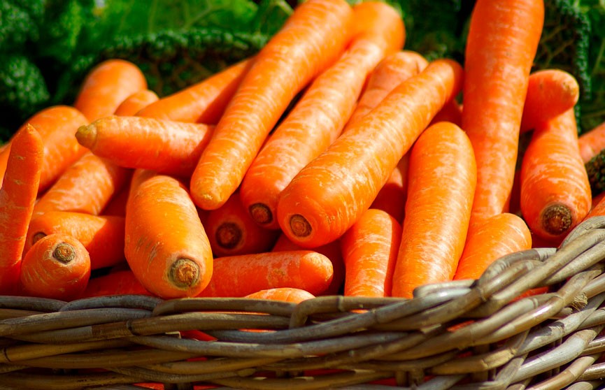 В Беларуси введено временное ограничение на вывоз моркови и свеклы