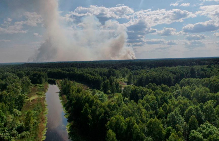 У границы с Беларусью горят украинские леса