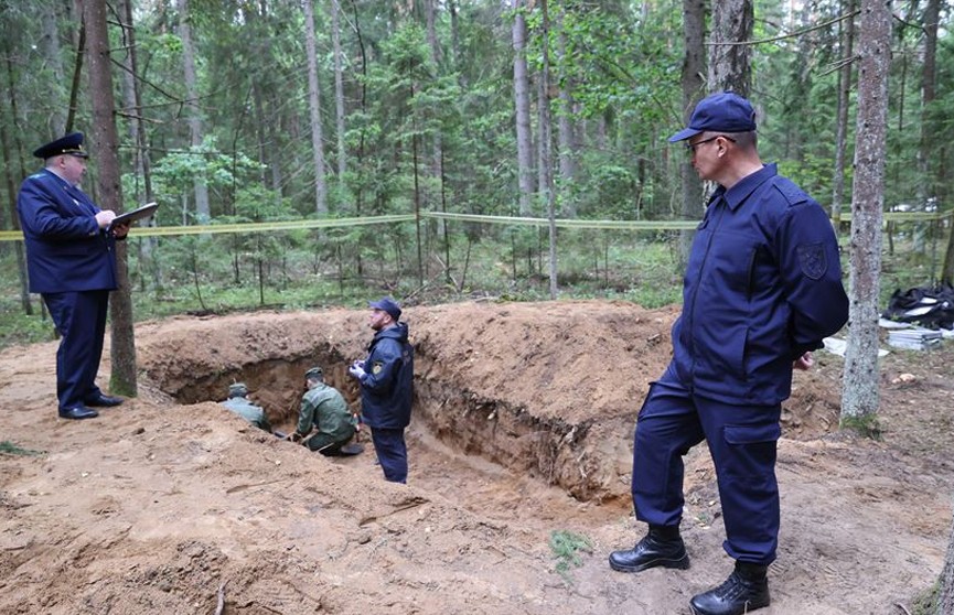 В Березинском районе обнаружили ранее неизвестное захоронение мирных жителей времен Великой Отечественной