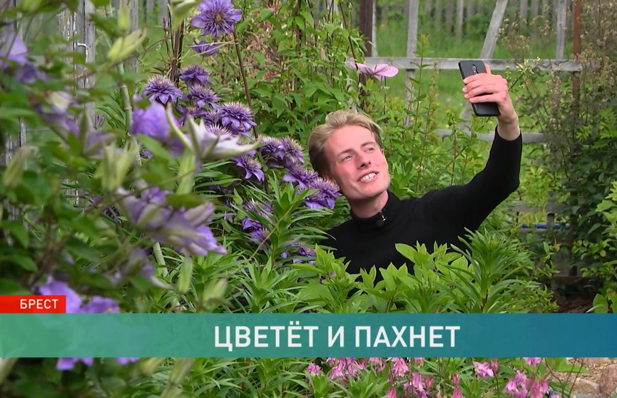 18-летний парень в Бресте выращивает цветы и выводит новые сорта. В коллекции – уже более двух тысяч видов!