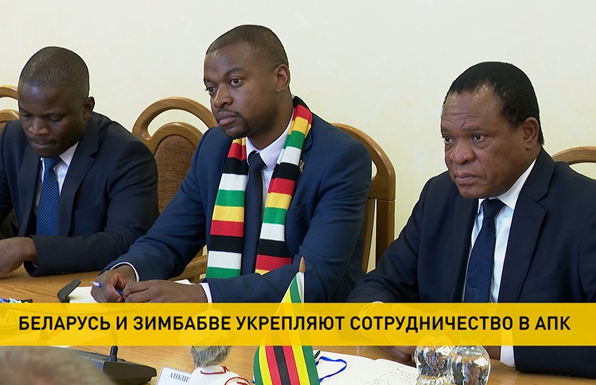Беларусь и Зимбабве укрепляют сотрудничество в АПК