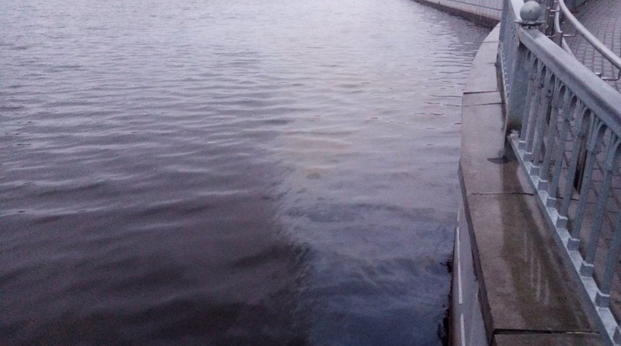 В реке Мухавец в Бресте появилось пятно нефтепродуктов