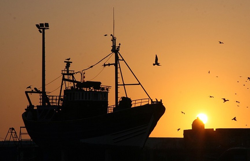 Игорь Панарин: Соглашение с Великобританией о рыболовстве нужно аннулировать, а не денонсировать