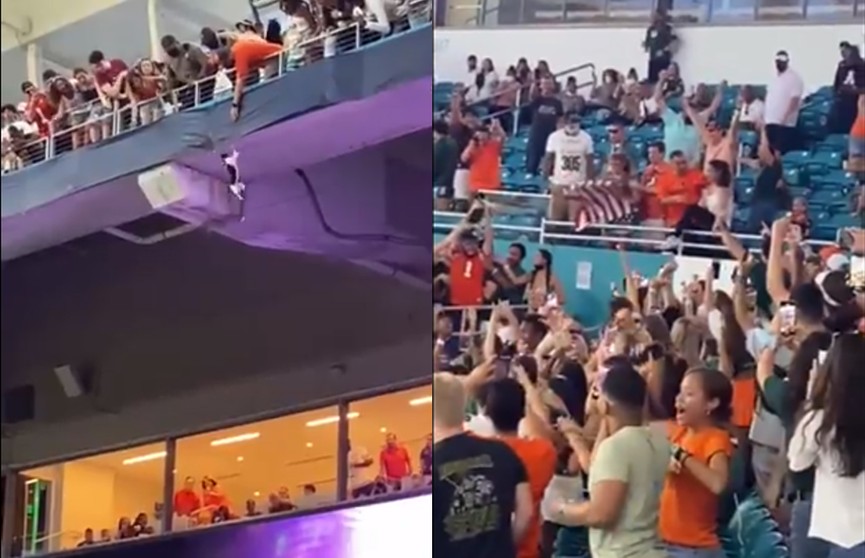 Драма на матче в США: кот сорвался с балкона. Переживали всем стадионом!