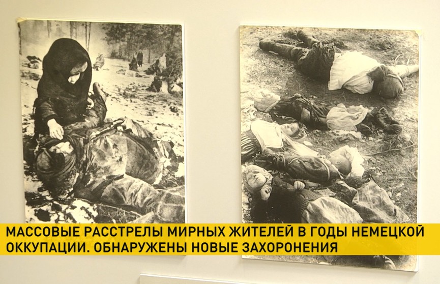 Прокуратура расследует уголовное дело о геноциде белорусов в годы войны. Под Гомелем найдено еще 21 захоронение мирных жителей