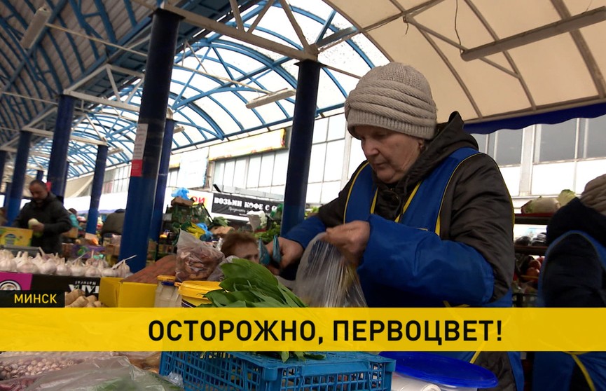 Минприроды устроило рейд на Комаровский рынок по выявлению мест продажи первоцветов. Чем чревата такая торговля – в репортаже ОНТ
