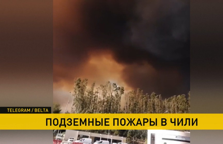 В Чили из-за жары сгорело 750 гектаров леса