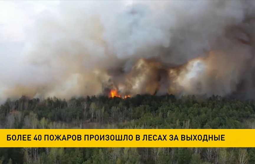 Более 40 пожаров произошло в белорусских лесах за выходные