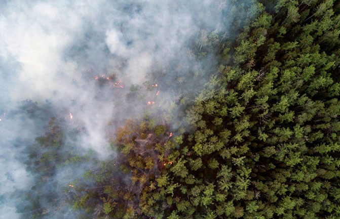 Лесной пожар произошел на юго-западе Китая: погибли 19 человек