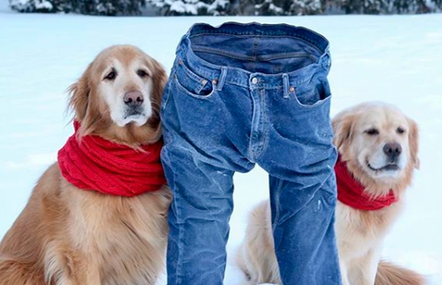 «Ледяные штаны»: из-за аномальных морозов в США набирает популярность необычный флешмоб