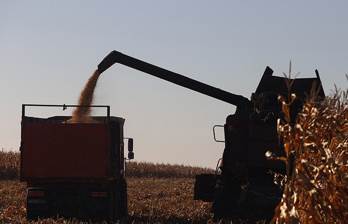Беларусь видит большие перспективы для развития сотрудничества с Кенией в аграрной отрасли