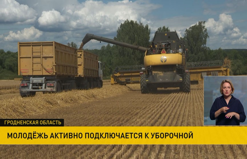 Молодые белорусы помогают собирать урожай: уборочная в самом разгаре
