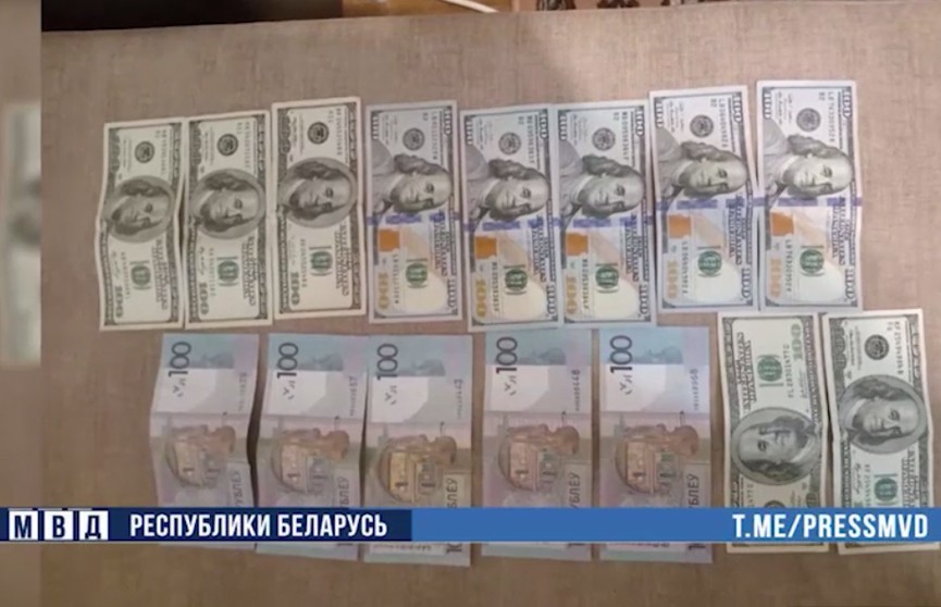 В Минской области оперативники задержали вора-домушника