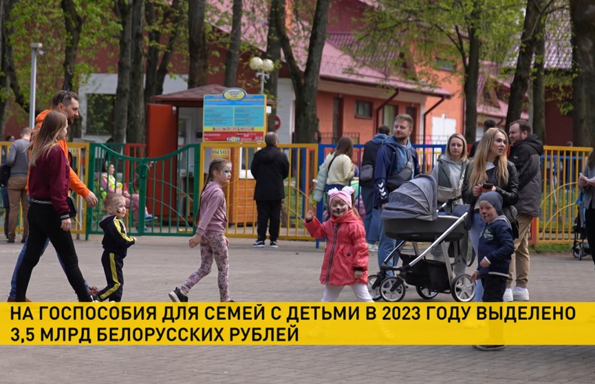 Министерство труда и соцзащиты: на пособия для семей с детьми выделено 3,5 млрд белорусских рублей