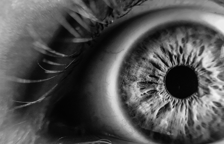 Учеными создан искусственный глаз, который видит в темноте